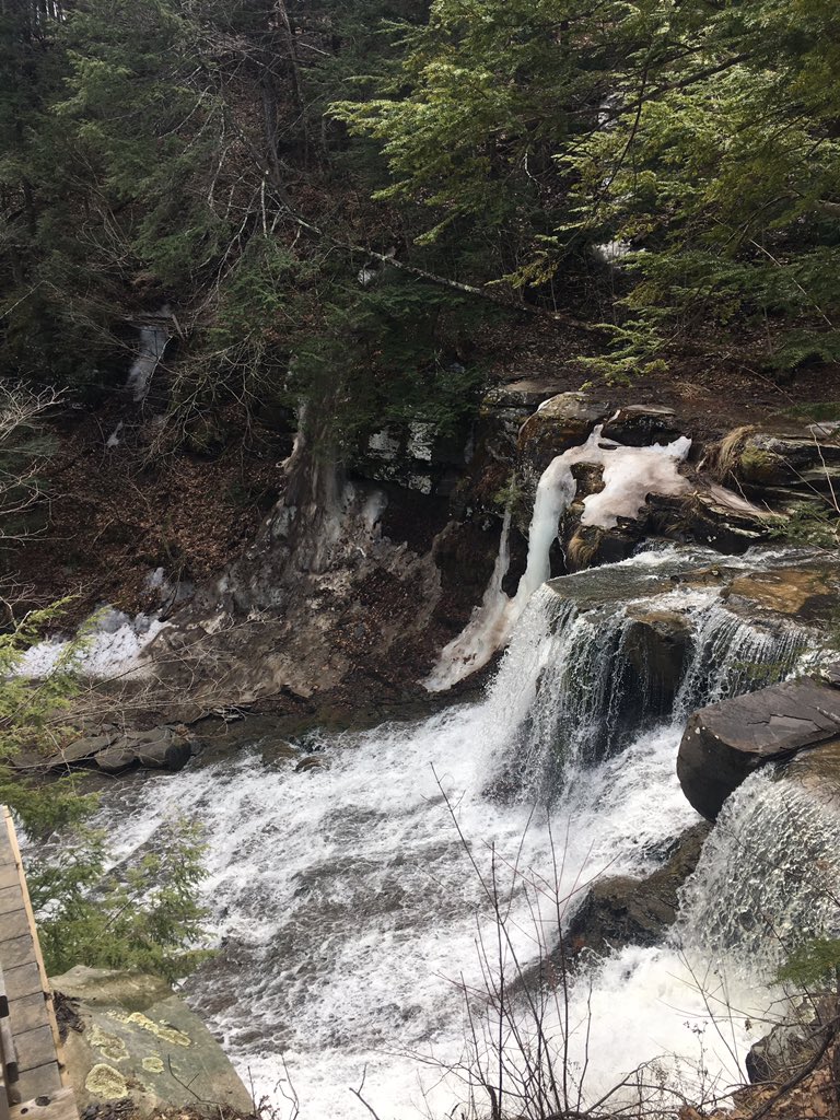 Stefanie Rockwood tweet media