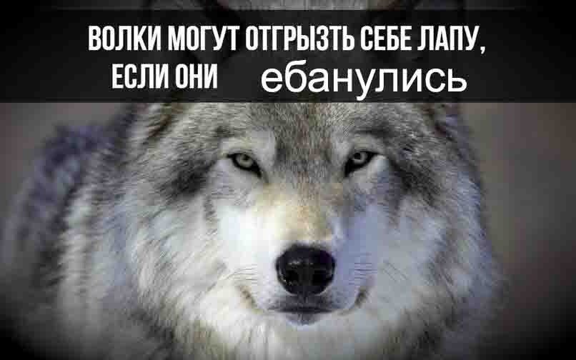 D4DVmhVXkAMBLk3.jpg:large