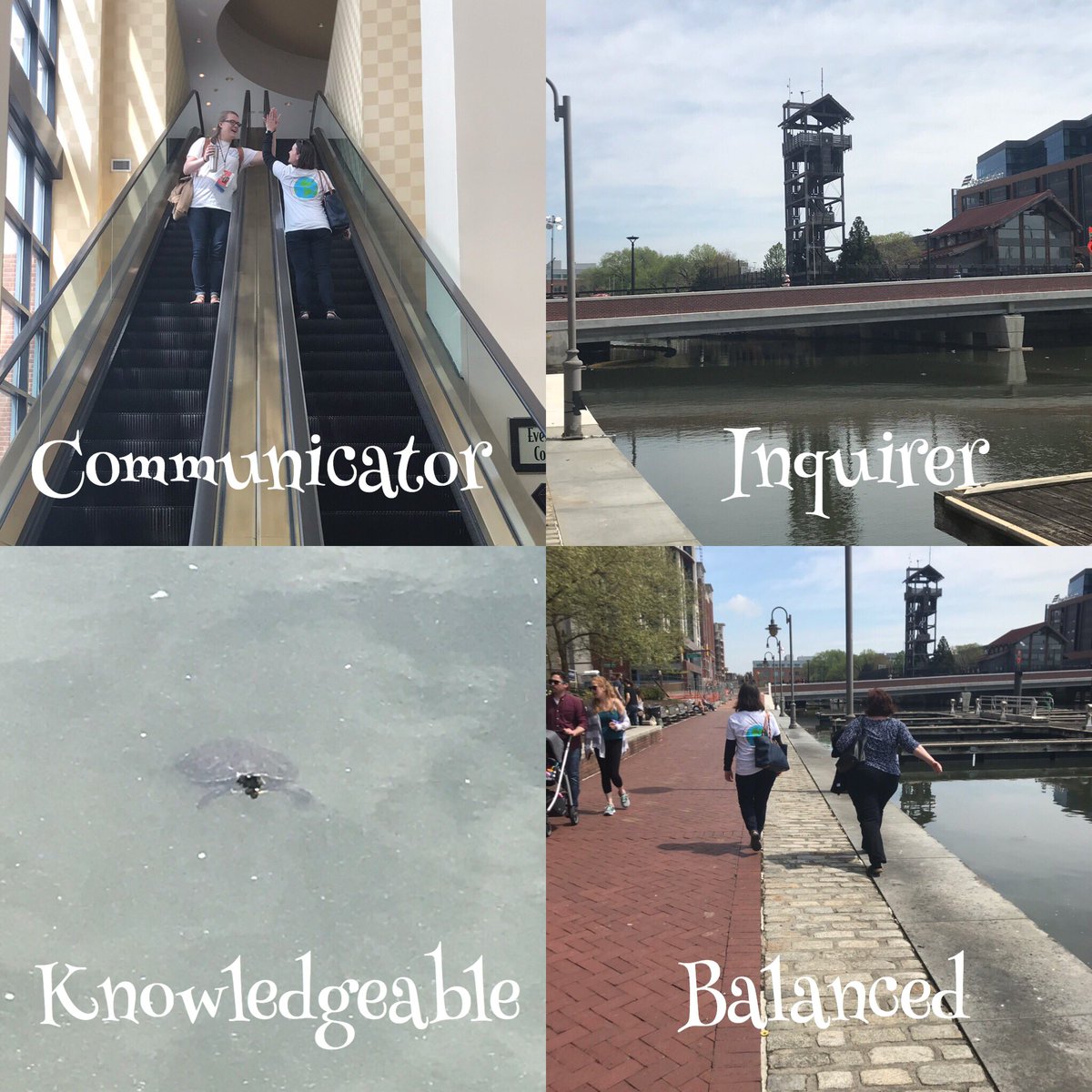 MsStein_Kinder's tweet photo. We continued our attribute hunt during our lunch break. We had a blast! #msa2019 #IBPYP #WedoIBWELLwood @KatieLugli @TeachUsPeace @Jodilo0113 @WellwoodIntlES https://t.co/SmNtps2QqO