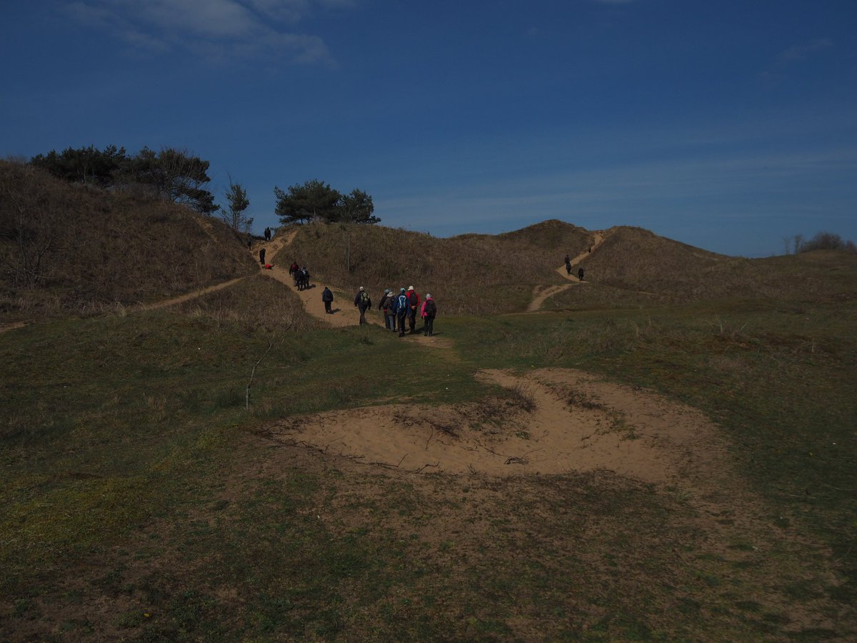 rhian_kendall's tweet photo. Meltwater chanels, sand dunes and salt marshes on the first field trip of the year with the South Wales Geologists' Association @SWGeologists. Great way to start the summer season! https://t.co/ZKcZJdyPYH