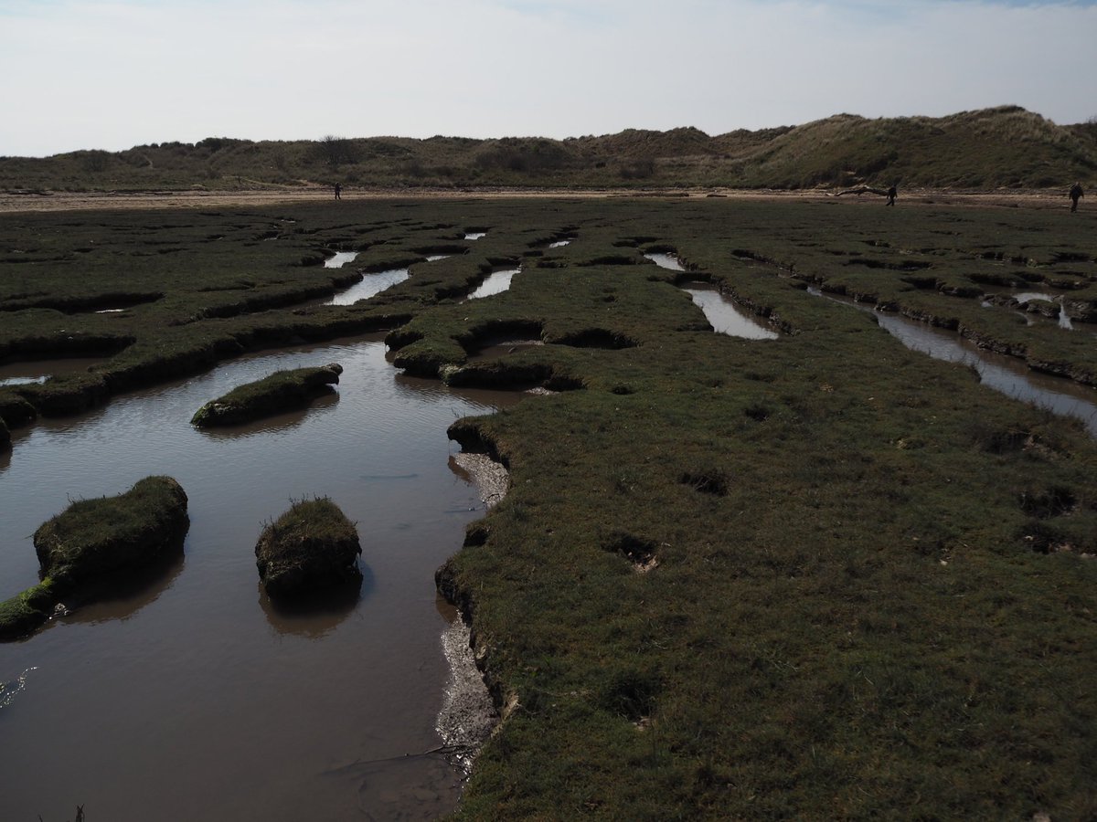 Meltwater chanels, sand dunes and salt marshes on the first field trip of the year with the South Wales Geologists' Association <a href="/SWGeologists/">SWGA</a>. Great way to start the summer season!