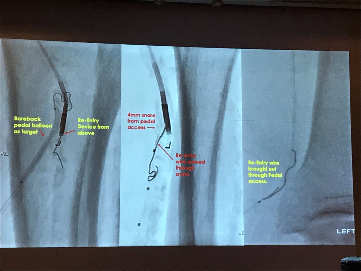 Kristen Welch tweet media