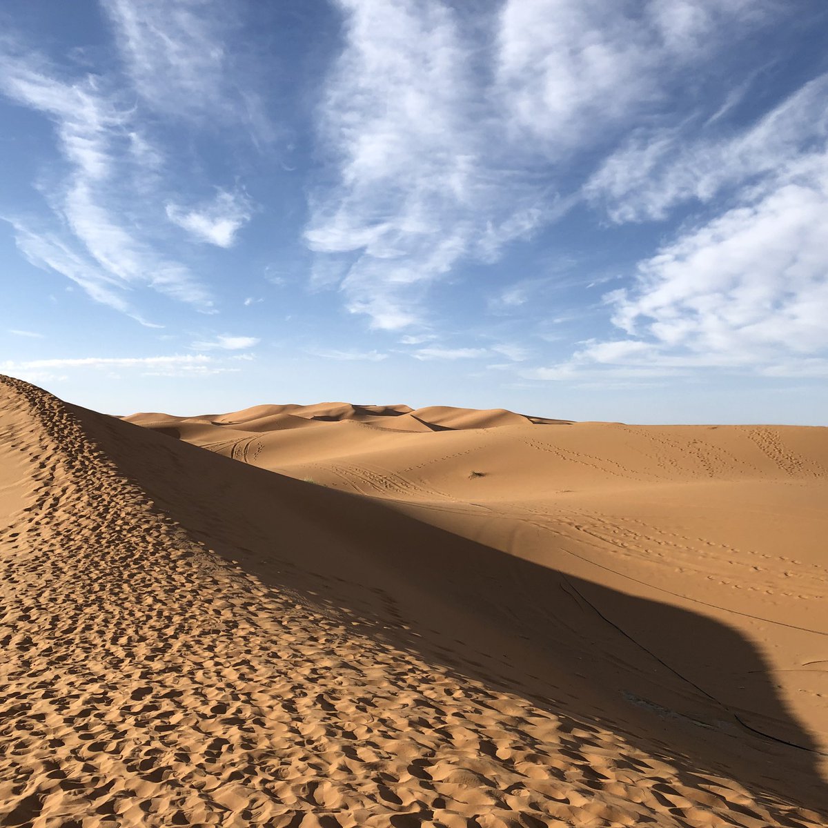 This morning I woke up in the Sahara. Watched sunrise in the Sahara. Then shopped for a rug. So I’m basically making my own version of Aladdin 🧞‍♀️🧞‍♀️🧞‍♀️ #overwhelmed
