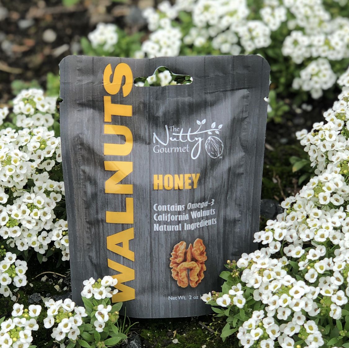 NuttyGourmet's tweet photo. A healthy snack option that can travel with you anywhere! 🚂 🚲 🚌 ✈️ 🚜 🚗
#flavoredwalnuts #walnuts #travel #plane #train #roadtrip #spring #honey #sweet #healthy #healthysnack #snacks #omega3 #nongmo #naturalingredients #superfood https://t.co/43U1jjSfes