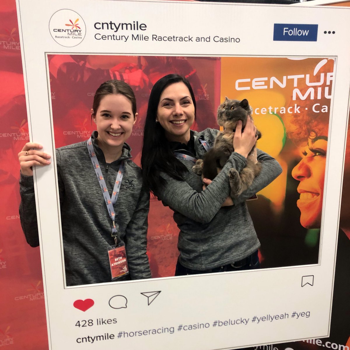 Thanks to the Edmonton Cat Fanciers Club for stopping by with our new friend Matilda here at the <a href="/EdmWomanShow/">Edm Woman's Show</a>! #yeg #yegpets #Caturday