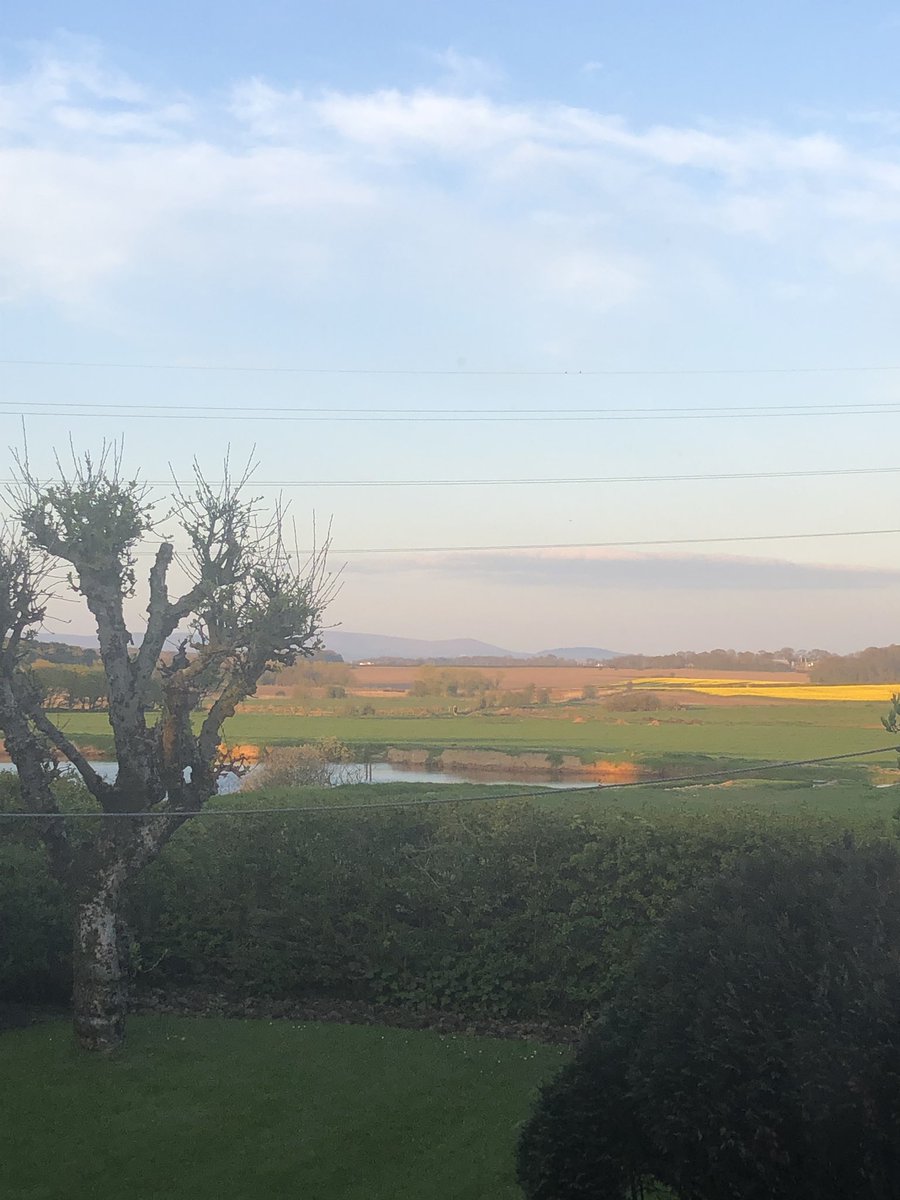 ParrotStanley's tweet photo. Evening colours #CageView https://t.co/naybpQspJb