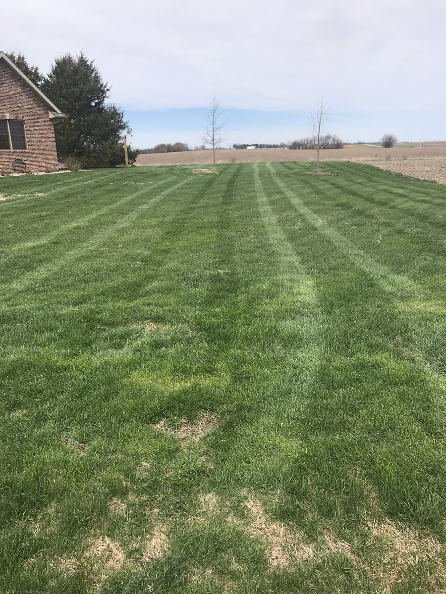 MeeceUPAgronomy's tweet image. To wet to get in field, so might as well practice my spraying skills on the ole yard. Love this time of year for yard spraying......always wait in anticipation of seeing who will be the first person to dump roundup in thinking its Trimec or 2,4-D!!!!  😂😂. #notthisguy 🤞