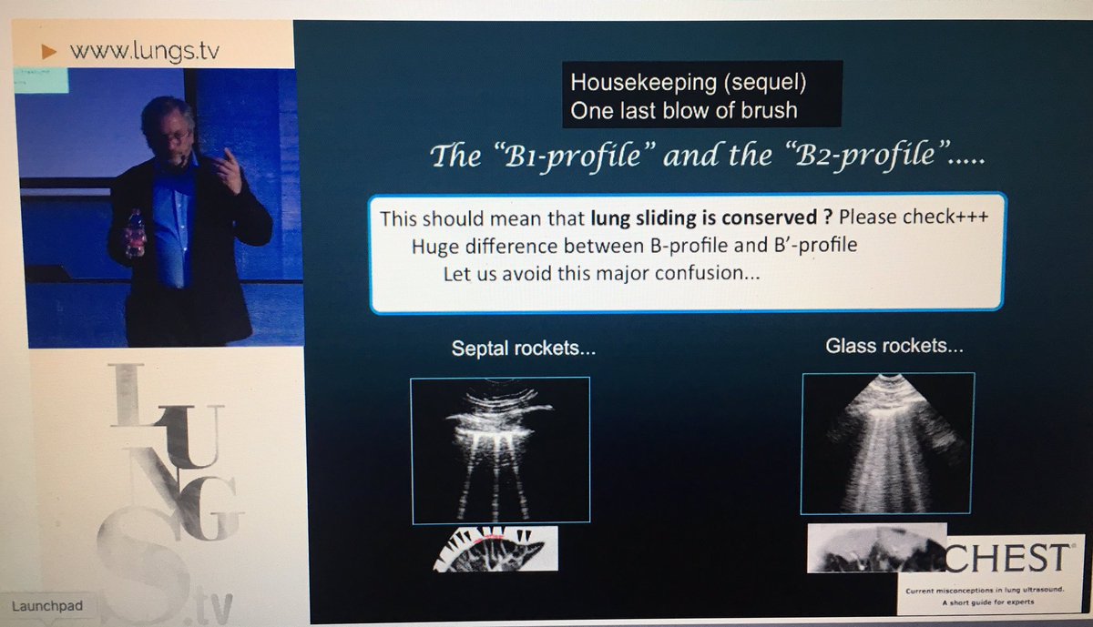 Differences between B1 and B2 profile - is there lung sliding?? D.Lichtenstein at #theartoflungultrasound #POCUS  <a href="/ECOPULMONAR/">ECOPULMONAR</a> <a href="/LungsTv/">Lungs Tv</a>