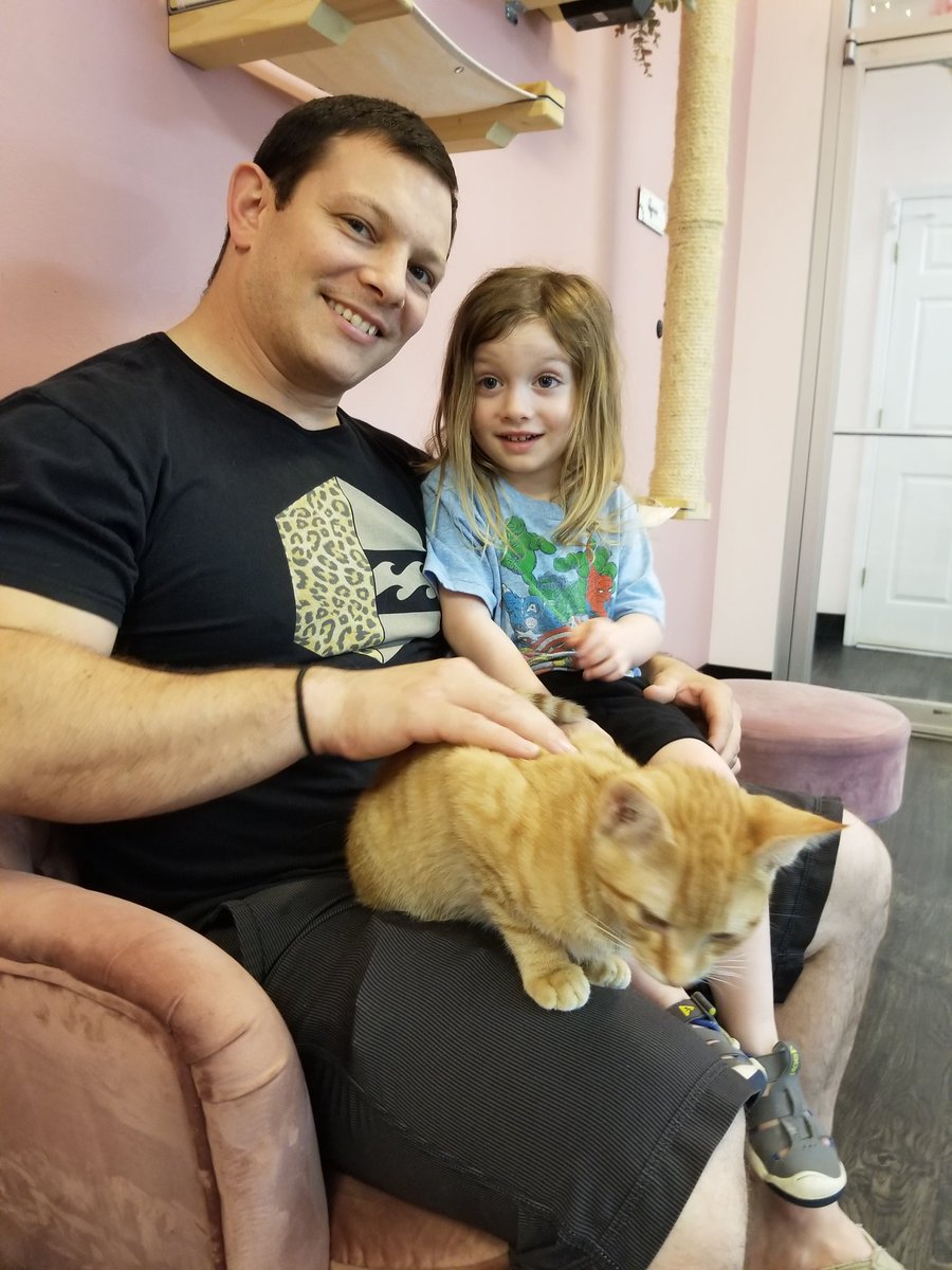 CallMeCrunchyFL's tweet photo. A great day at the Tally Cat Cafe! 🐱 #ihearttally https://t.co/6Yi5iUtoZ1