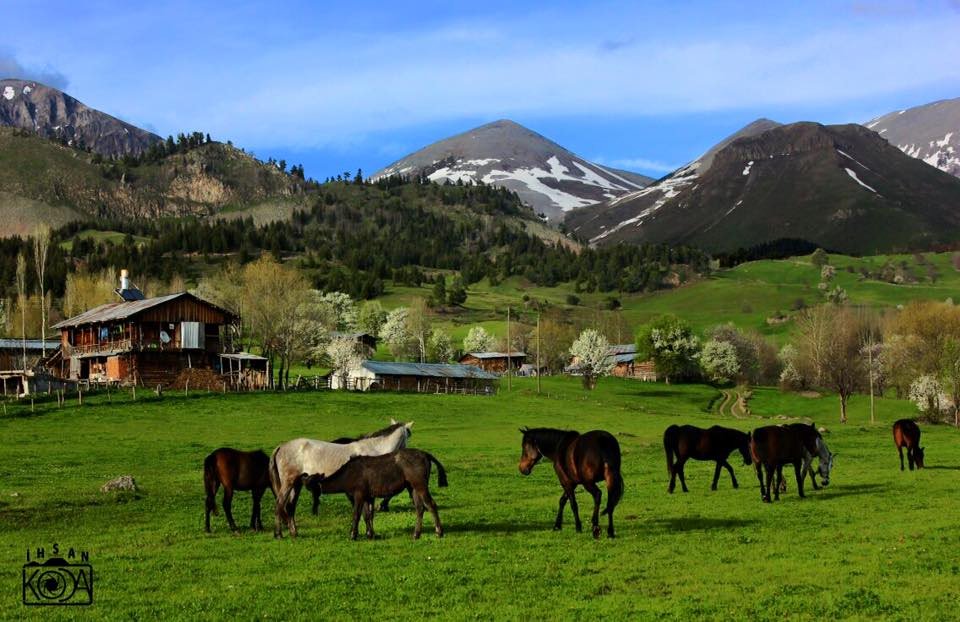 aydintufekci43's tweet photo. Bir doğa harikası: Artvin-Şavşat.
 Karagöl'de suya düşen gölgede yaşamak isterdim.
Foto: Anonim https://t.co/meIU6Cuobo