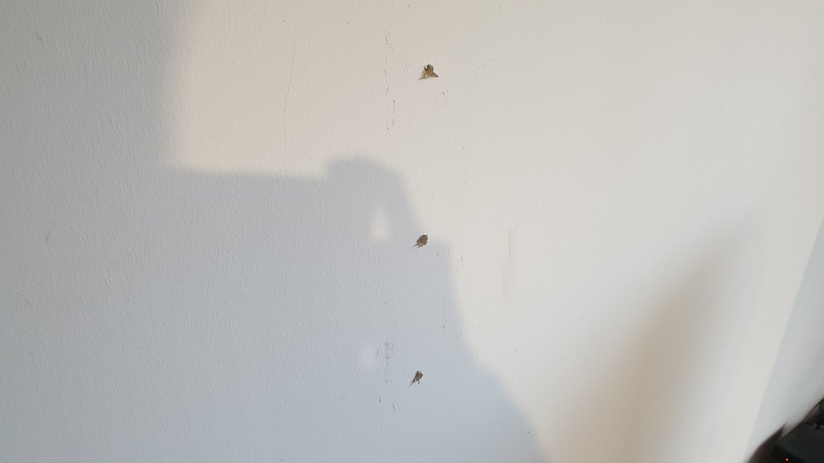 MrRatSuper's tweet photo. Les travaux avance bien 😂 #supportTV Mon pote revient Lundi pour finir car d'après lui il faut mettre des vis longue car avec le poids ça va pas tenir :) Lidee cest de le fixe également dans le mur en brique + combler le vide entre placo laine de vert et brique 👀 https://t.co/ReCua4E9F1