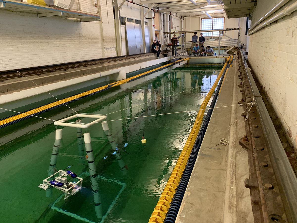 Laura Alford tweet media