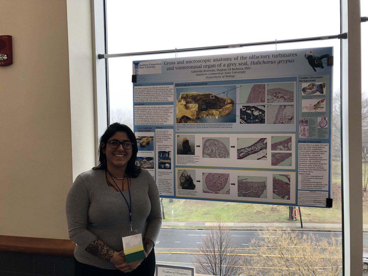 Great work by all the Biology majors presenting today at the 5th Annual SCSU Undergraduate Research Symposium! <a href="/HonanJulia/">Julia Honan</a> <a href="/gabriellarestr1/">Gabriella Restrepo</a> Chevon Rumble and <a href="/BrooksBlauser/">Brooks Blauser</a> @Biology_SCSU <a href="/SCSUBiologyClub/">SCSU Biology Club</a>