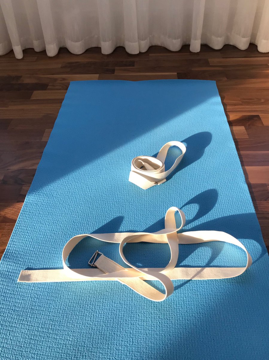 An inspirational workshop with Tricia Booth ⁦<a href="/MDIIY/">Iyengar Yoga</a>⁩ this morning #Iyengar #yoga #Iyengaryogabelts #gratitude