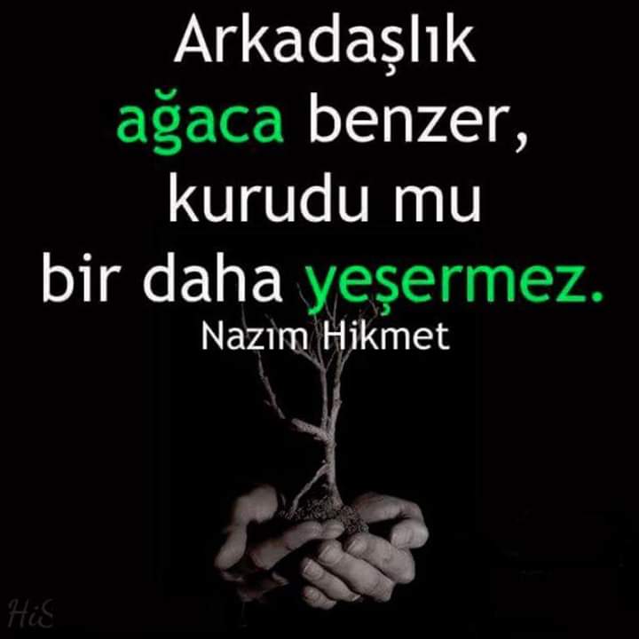 Hüseyin Güneş (@hseying79698424) on Twitter photo 