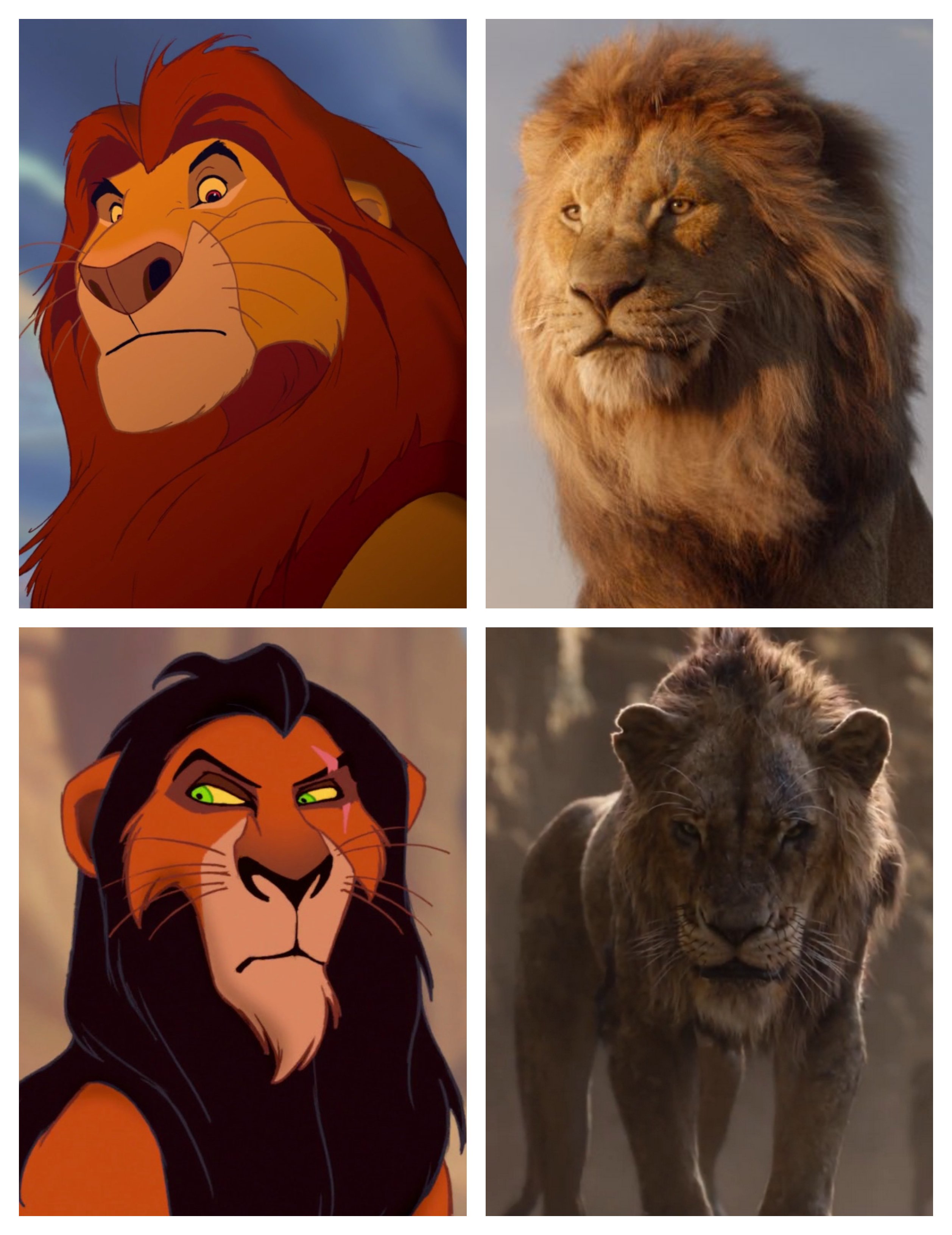 The Lion King Wiki on X: Want to look through high-quality