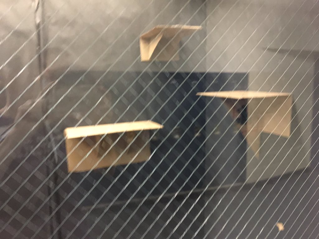 JoyKirr's tweet photo. @EdTechJulieJ @talouis @mrgfactoftheday Totally stealing this inexpensive way of shelving (for light objects) for bulletin boards! #EdCampChicago https://t.co/14hNo5ljC1