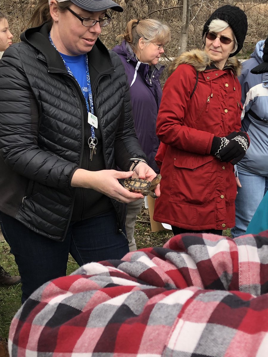 DWZ44's tweet photo. Wellness found: Saturday morning in the Retzer Nature Center...birds, bugs, snakes, turtles, salamanders, frogs, Marsh Marigold and stink cabbage. Immediate results! #RetzerNature https://t.co/3keoSdf079