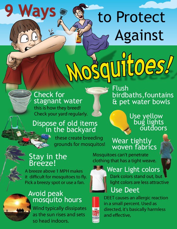 Protect yourself and your family from mosquito bites with these 9 tips:
#Mosquito #Bites #Tips