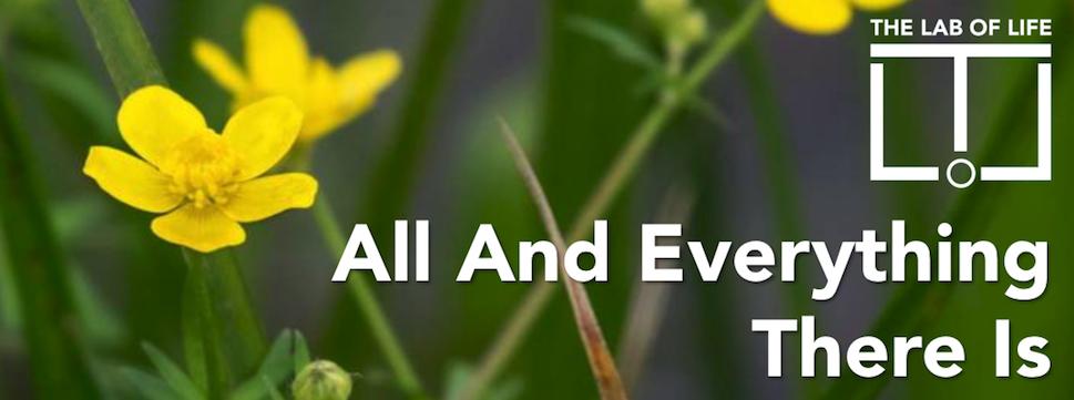 There is a kind of noticing that turns the parochial into the phenomenal. This Deep Dive Thought Experiment will take you there...
thelaboflife.org/podcasts/12-al…