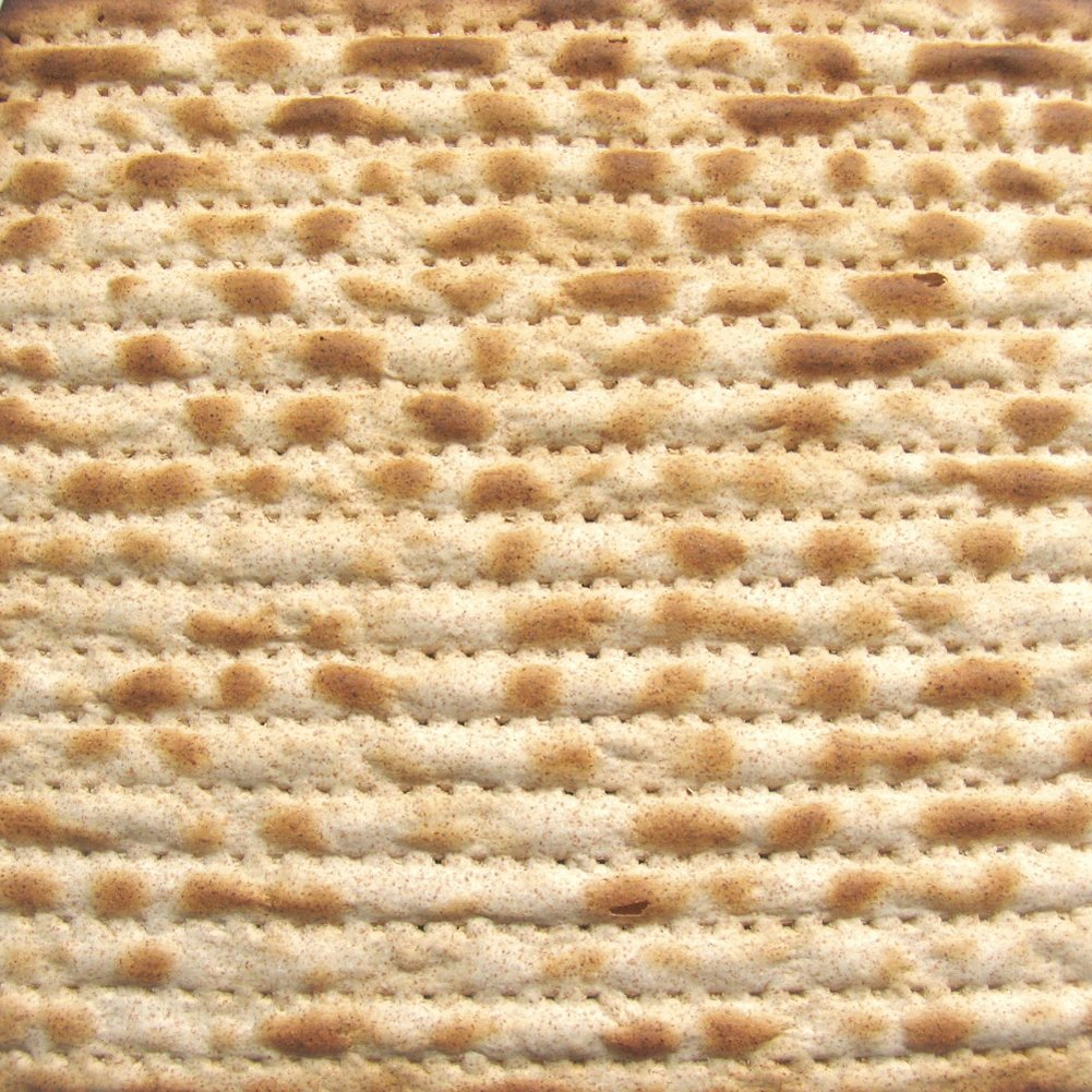 80WebbSt's tweet photo. Chag kosher v’sameach! https://t.co/l8ZFO68tIW https://t.co/uKSn7CF6GV