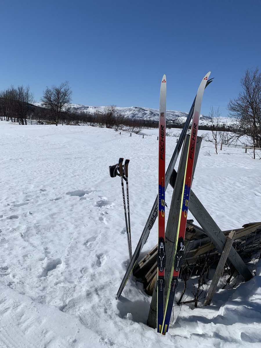 adamfinch_'s tweet photo. Day one of our ski weekend ⛷

#Norway #Ski #Novice #Snow #Scandinavian #Gålå #Blue #Sky #Beautiful #Spring https://t.co/Kax6MHFwCQ