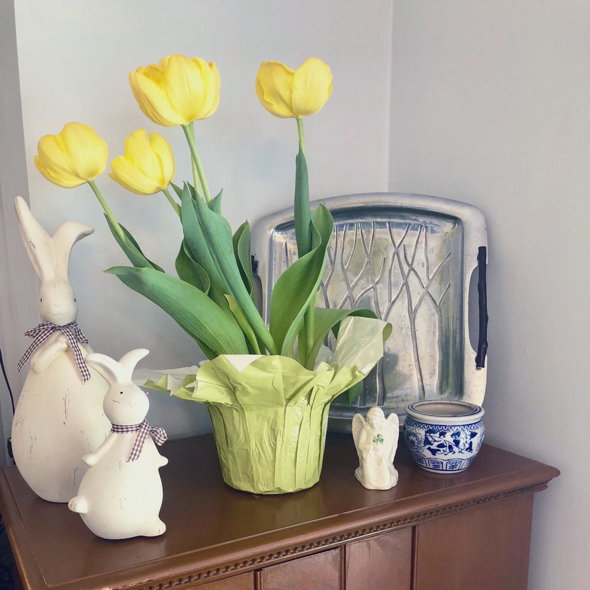 MagicZeBunny's tweet photo. Hooms’ neigbor brought us tulips, welcoming us to the neighborhood! I slept right thru the meet + greet of course, but love seeing them in full bloom from my nap area #StillOrganizing #Springtime #Bunnytime 🐇🌷 https://t.co/Y3XsEw3old