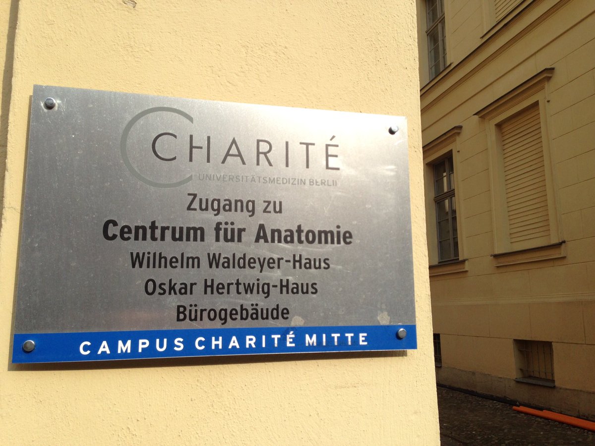 FrommeSusanne's tweet photo. I joined the third module of #movementartisans Berlin Workshops last week. Such a great place for movement exploration. Very special, the opportunity to visit the centre of Anatomie at #Charité. Thank you Kira, Antoine, Baris and Nina! #dance #AxisSyllabus https://t.co/hepjAavYSq