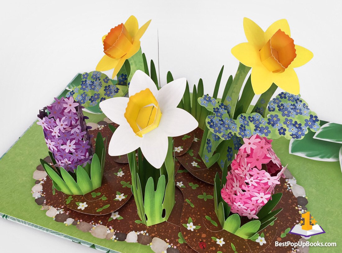 BestPopUpBooks.com tweet media