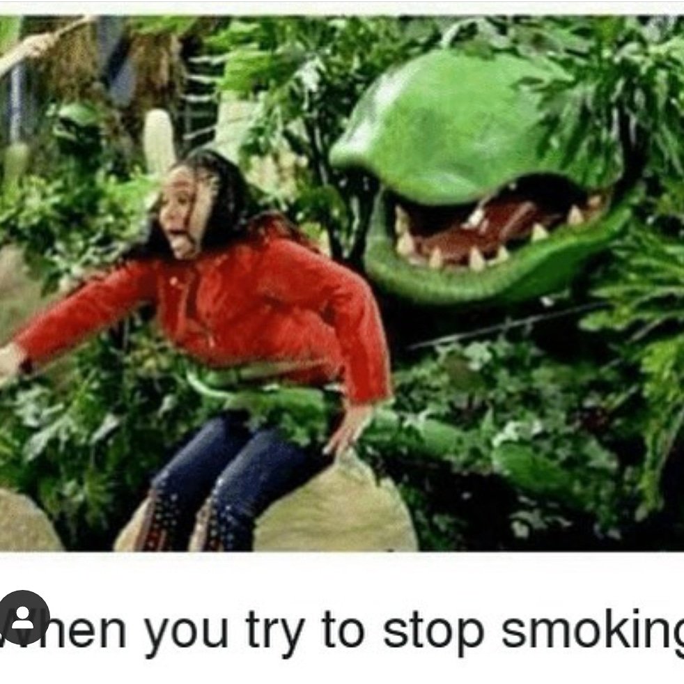 😂 😂 Follow <a href="/weedmafiaclub/">Weed Mafia Club™</a> 👍 #cannabis #marijuana #CannabisCommunity #cannabisculture #cannabisnews #weed #Cannabis #stayhigh #StayLifted #staystoney #420friendly #420blazeit #WakenBake #stonerfam #StonerNation #STONER #dank #blaze #bong #stoners #shatter #highlife #stoned