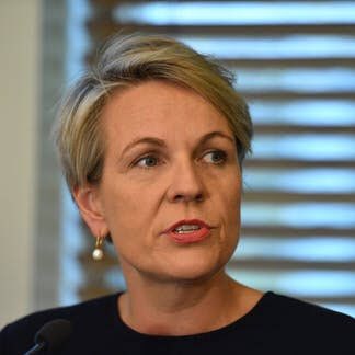 <a href="/SkyNewsAust/">Sky News Australia</a> <a href="/tanya_plibersek/">Tanya Plibersek</a> When is TANYA PLIBERSEK going to apologise for offending the Australian Indian community with her dangerous and discriminatory rhetoric! If she becomes Deputy PM, our relationship with India is at risk! #weekendlive #auspol #AusVotes2019