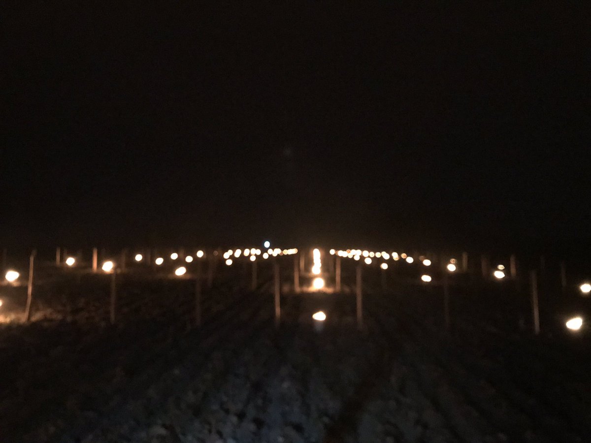 VendangesSoliDR's tweet photo. Nuit de gel, les vignerons se battent pour sauver leurs vignes. Pensée pour tous ceux qui passent la nuit dehors, à Montlouis, Mâcon, Arbois, Amboise... #gel2019 #solidarity @GerbelleLaVie @JeromeGagnez @missglouglou @Mat_Doumenge @TDVredacChef @jhbretin @jackydurandlibe https://t.co/4eNdHZJ0qf