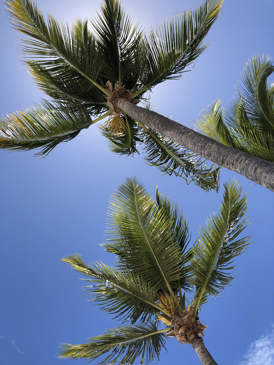 Another one in the books #Antigua