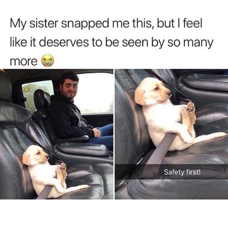 😫😍 So Precious lol