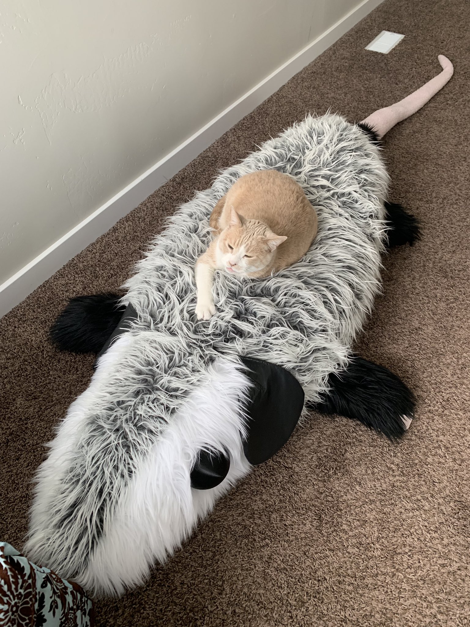 nine foot plush possum