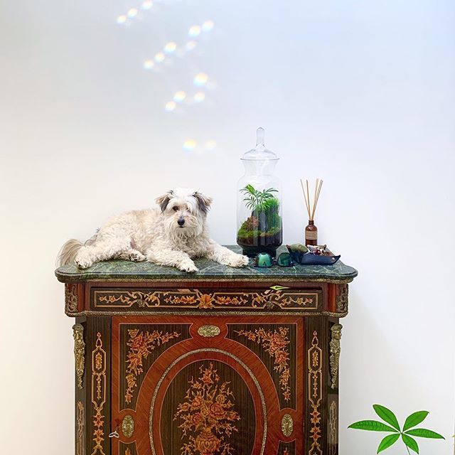 kylehs's tweet image. Doesn’t matter how he got up there. #peoplewhodonthavekids bit.ly/2P8yQGt