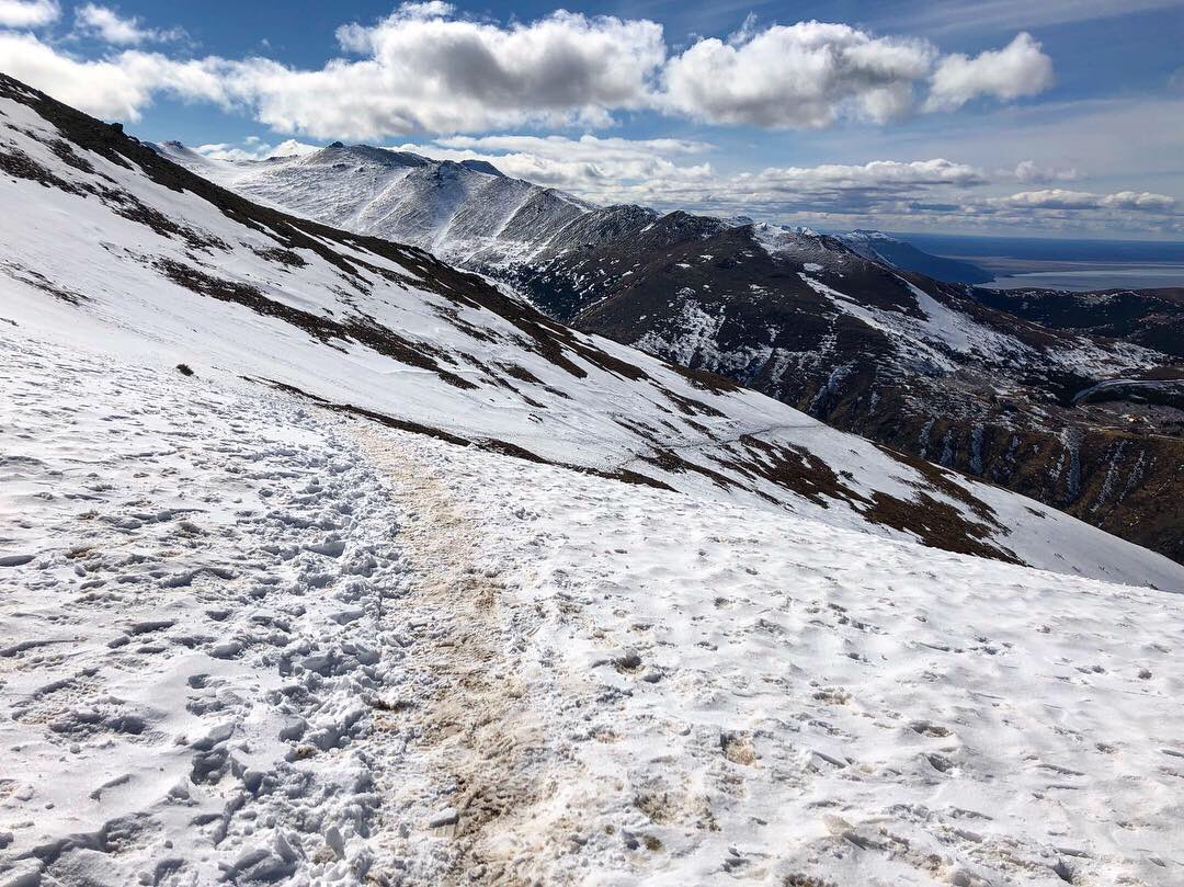 ErinSchneiderAK's tweet photo. First summit of the season! Trail up the backside of Flattop is nearly free of snow. #gooddaytobealive #joy #springinalaska #chugachmountains #sunshinefeelsgood #peakaweek #gooddog https://t.co/6UjEeaOeDz