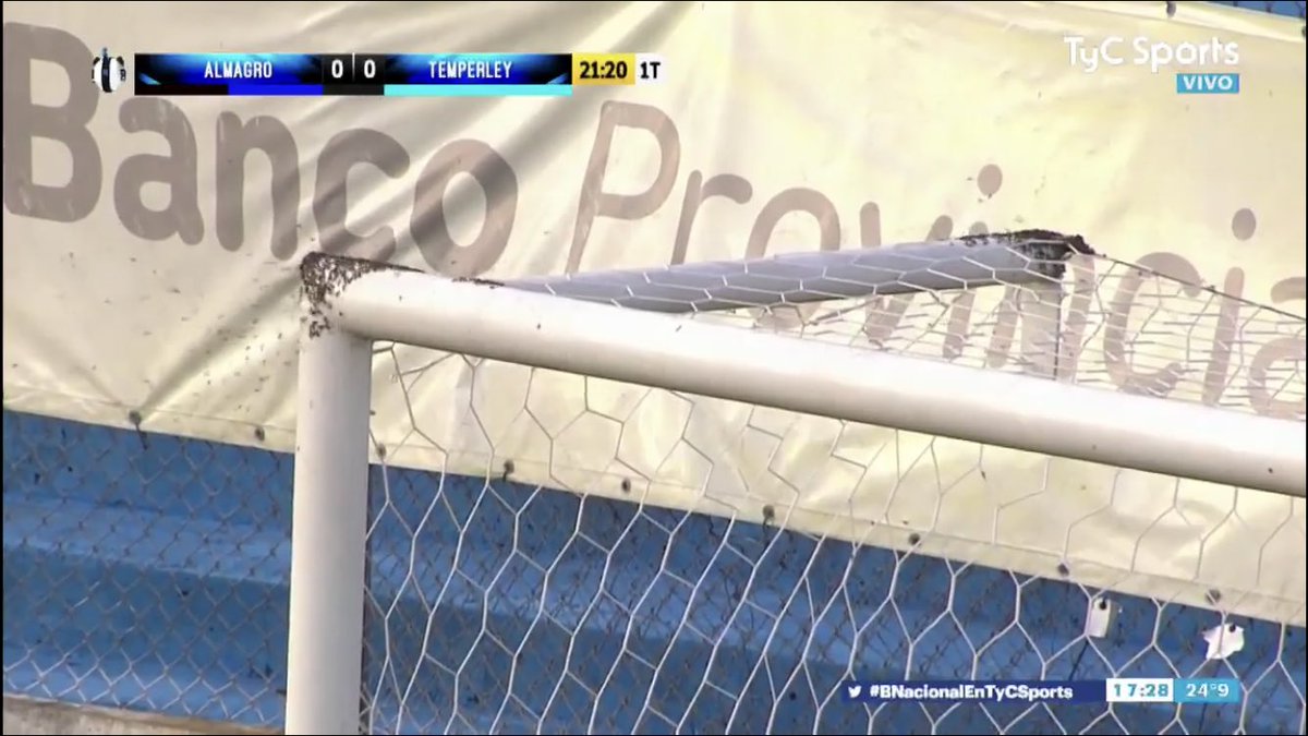 Insólito! Panal de abejas 🐝 en uno de los arcos para partido en el ascenso argentino en el duelo de #almagro y #Temperley lo que faltaba. Esto solo pasa en el fútbol sudamericano.