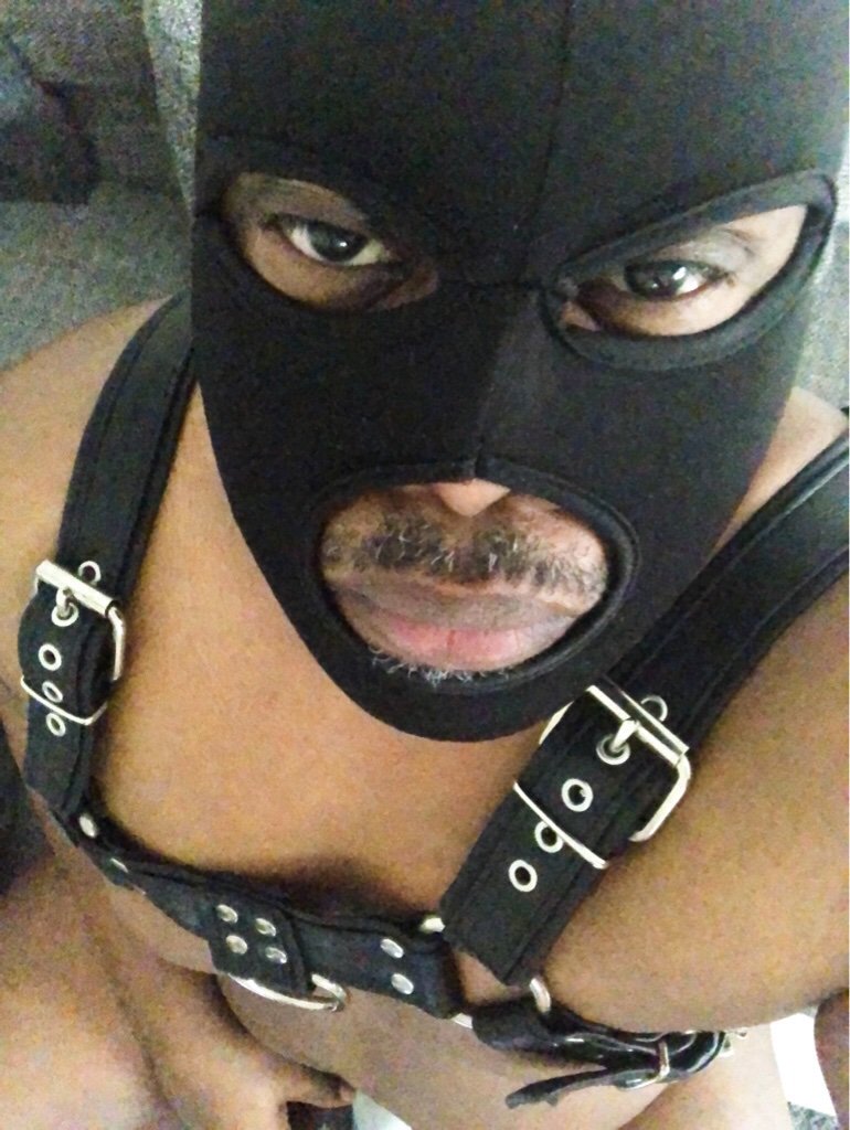 DaddyMasked's tweet photo. #blackleatherharness #folsom #leatherdaddy #gayleather #gayBlack #onlyfans #blackbear #belly https://t.co/XfBA29XyZa