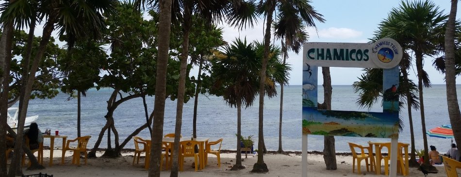 Loco Gringo Inc. tweet media