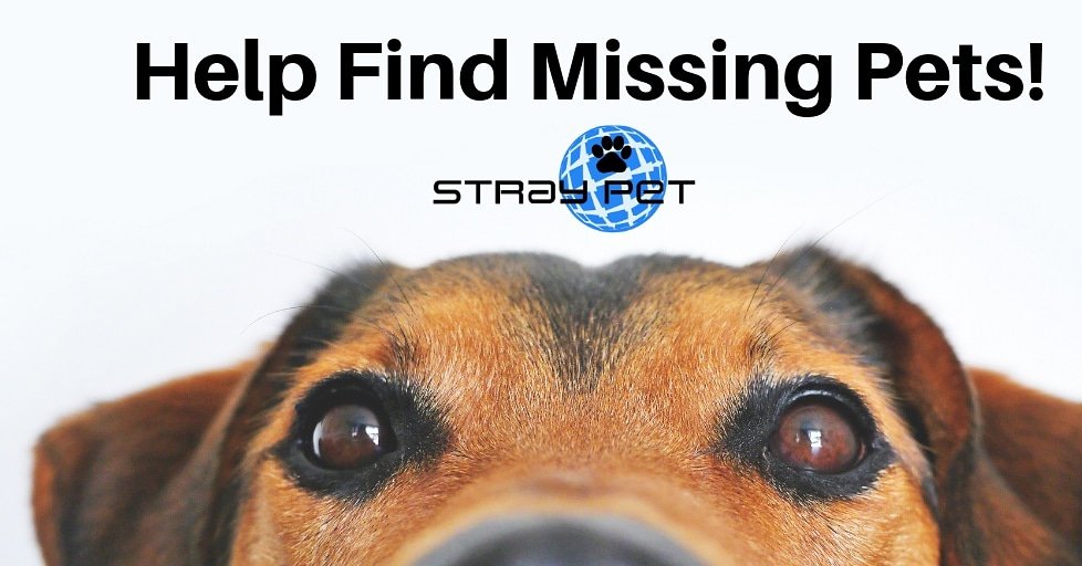 StraypetM's tweet image. #lostpets #straypet #findlostpets
straypet.net/want-to-help