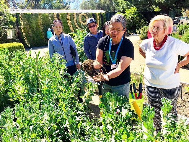 scbgarden's tweet photo. Master #gardener Liza Go sharing #composting tips and tricks today in the Garden! Thank you to Liza and all who participated in this informative class on sustainable living!
.
.
.
.
#SouthCoastBotanicGarden #SouthBay #LosAngeles #compost #compostingisfun… https://t.co/1L9Rdpdt5b https://t.co/IRsaIuxLOC
