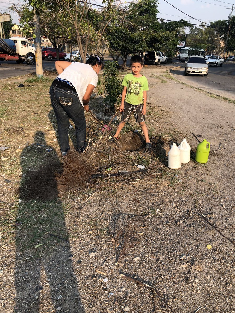 bryanmejia92's tweet photo. @ca_acosta @fervarelahn @frank_pacheco @betamovil @NonoElBohemio aún hay personas que luchan y que se preocupan por el planeta doña María enseñándole a su nieto a plantar árboles esto fue hoy frente al instituto central Vicente Caceres un ejm digno de admirar https://t.co/dGOKC69WVx