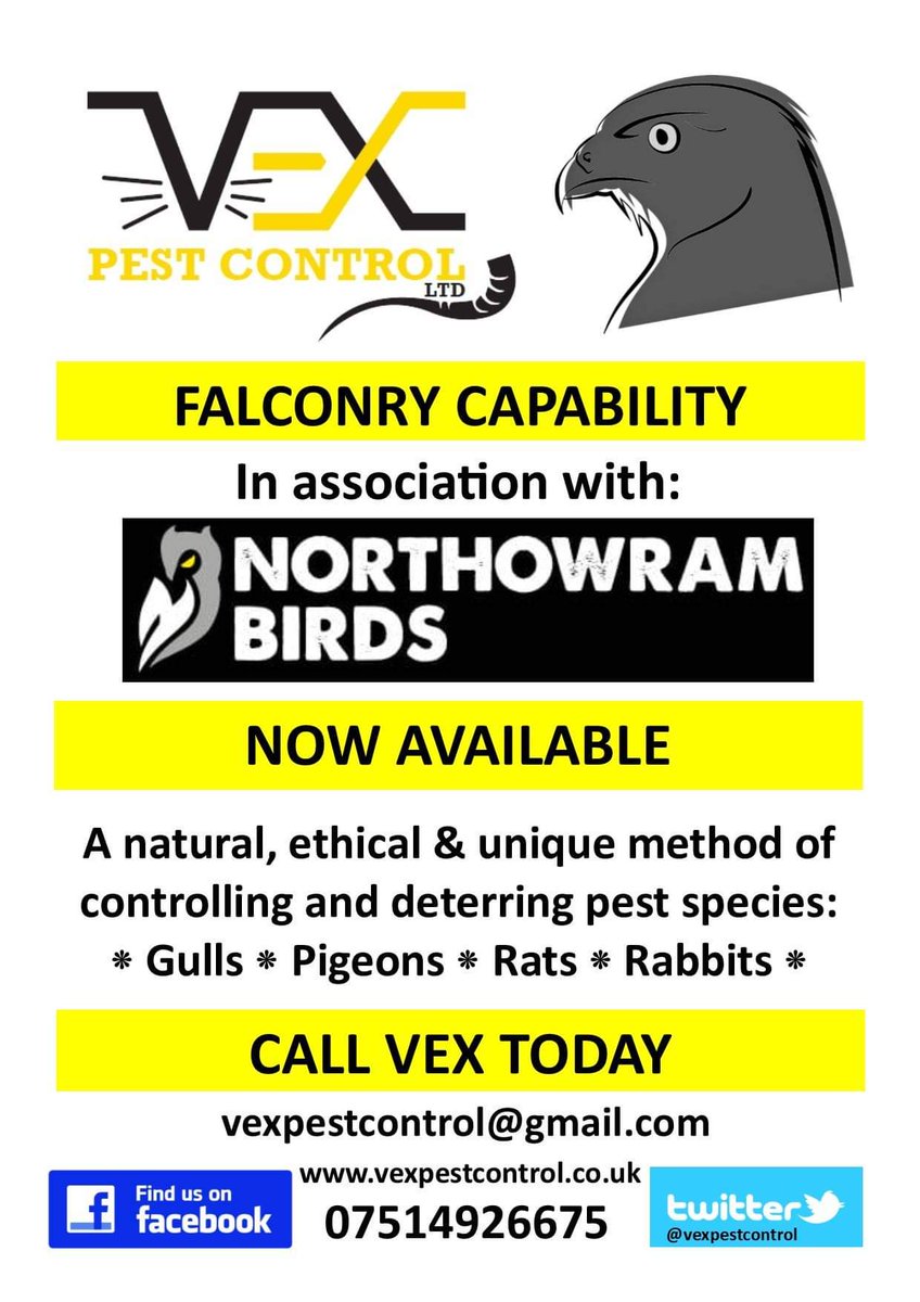 vexpestcontrol's tweet photo. Introducing the new, falconry capability. Looking forward to working with Steph at @northowrambirds https://t.co/z0b6ovTUWl