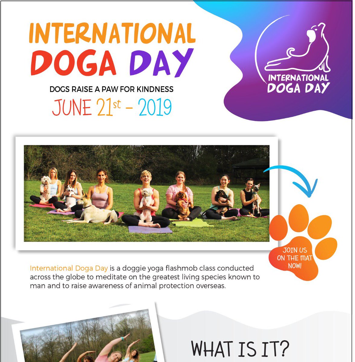 <a href="/dogsofnw/">Dogs of NW</a> <a href="/MegMathews/">❤️MegMathews ❤️</a> <a href="/annawebbdogs/">ANNA WEBB</a> <a href="/TheDogvine/">The Dogvine</a> Only one more week to go before we launch our site on dogayoga.fit #internationaldogaday Our venue and tickets will be announced shortly. We will be raising 50 K in 24 hours in June 21.6 with the help of 25 countries !