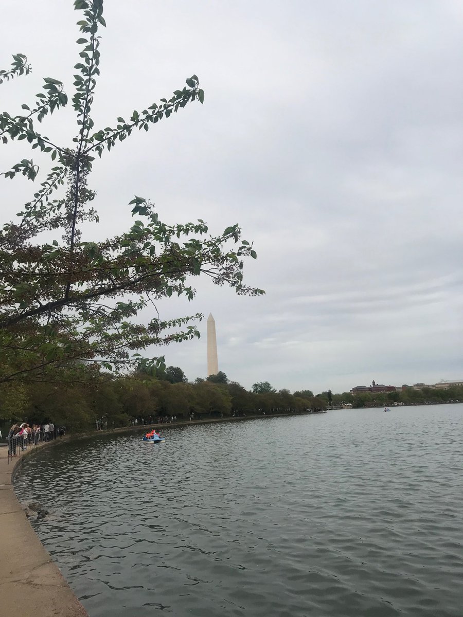 WelExplorer's tweet photo. Exploring the memorials today. https://t.co/PUeslL4aoi