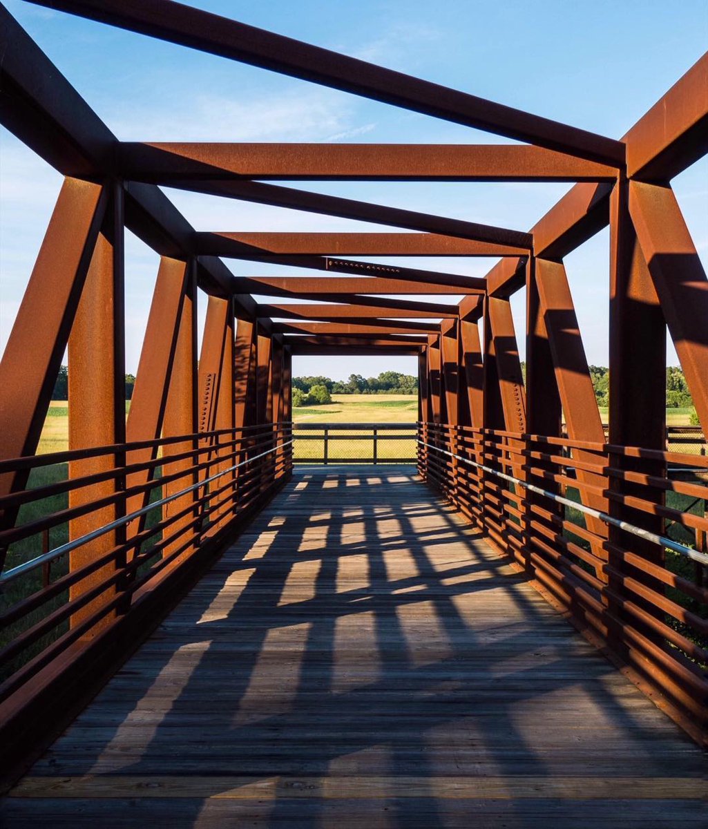 RGreenwayApp's tweet photo. Tunnel vision @visitRaleigh @raleighparks #raleighgreenway #neuserivertrail
https://t.co/kl4L1e6iHs https://t.co/e7VVgGVCTf