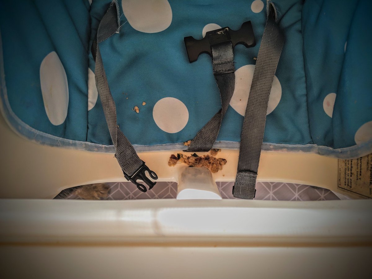 Hanna_Rayn's tweet photo. I thought my 1yo crushed his turkey meatloaf until I scooped him up and

#momlife #momsohard #parenting https://t.co/KHP2f6qilg