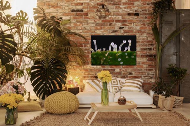 thcart3d's tweet photo. Each THC Art metal print is made by infusing the image to a 3/64" thick aluminum panel, finished with a glossy coating and rounded edges.
(pictured here is the 'Lokana' print)
#THCArt https://t.co/45fdZAFoJe https://t.co/XKoaQuMk7u
