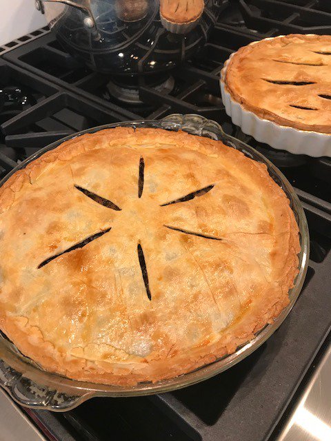 annathomascooks's tweet photo. @RobinAldan @hoosierdasein Look what you made me do, Robin! About to eat that Russian Vegetable Pie, hope I don't collapse in a butter coma. #delicious #foodies #foodwithnames #vegetarian https://t.co/e2Bo1rhcMX